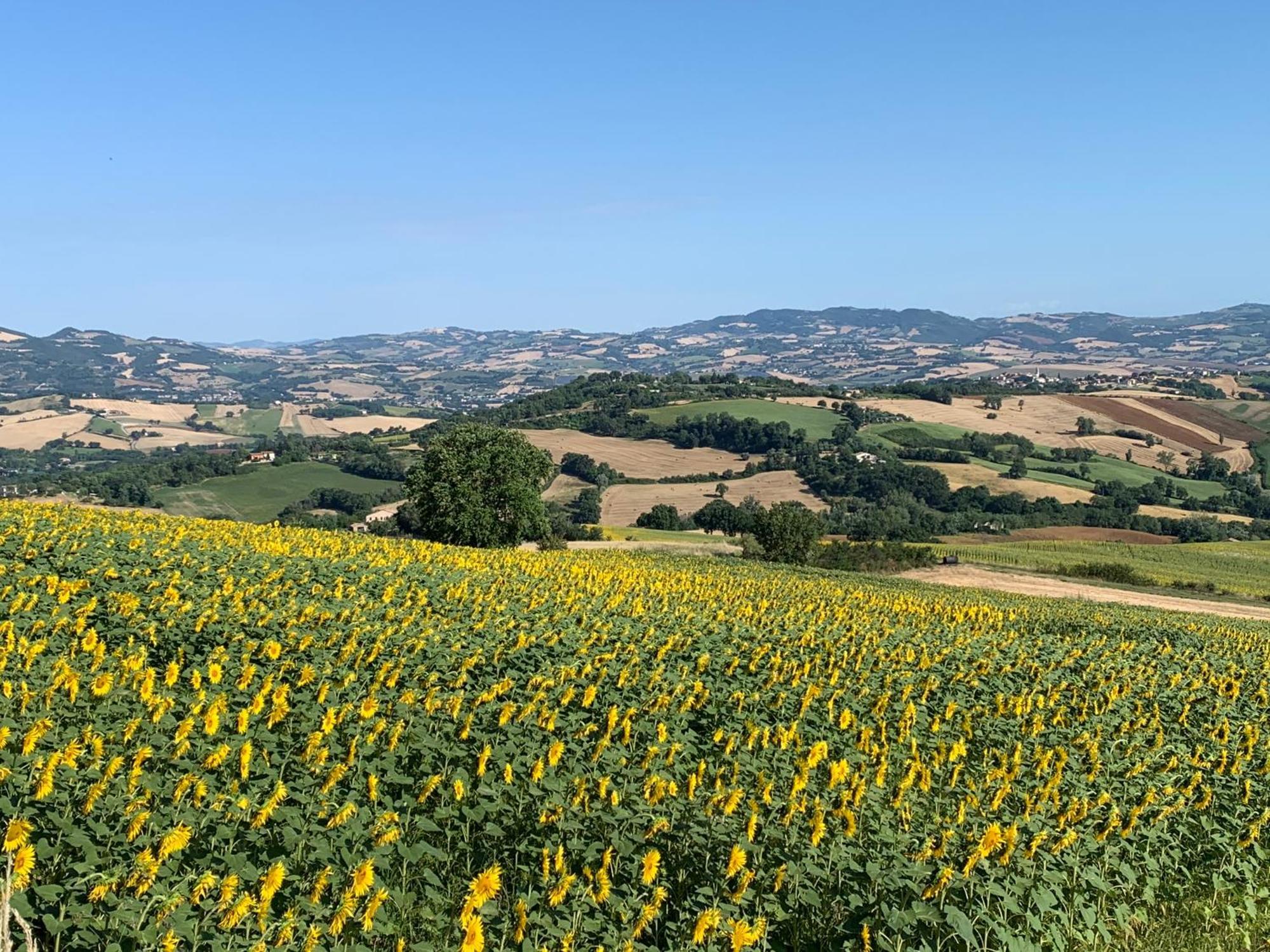 Holiday home Casa Tartufo E Mare